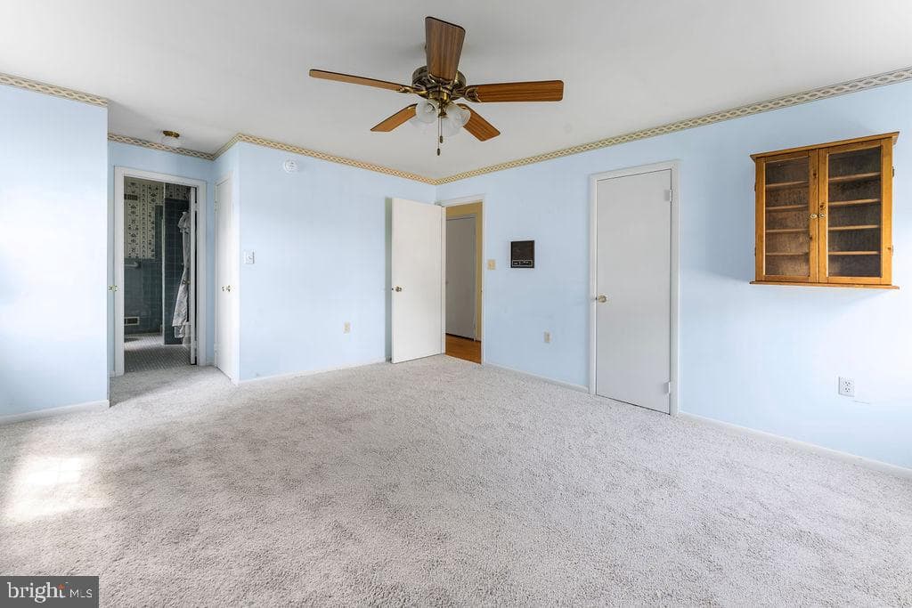 114 Williamson Road photo 24