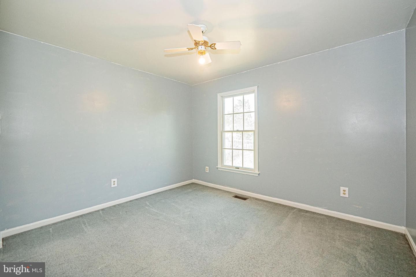 123 Etnam Street photo 27