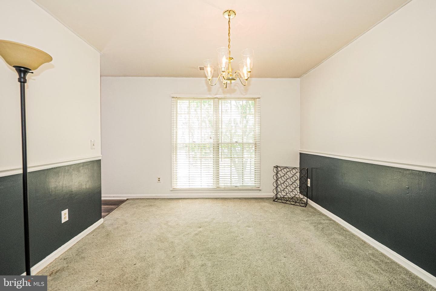 123 Etnam Street photo 3
