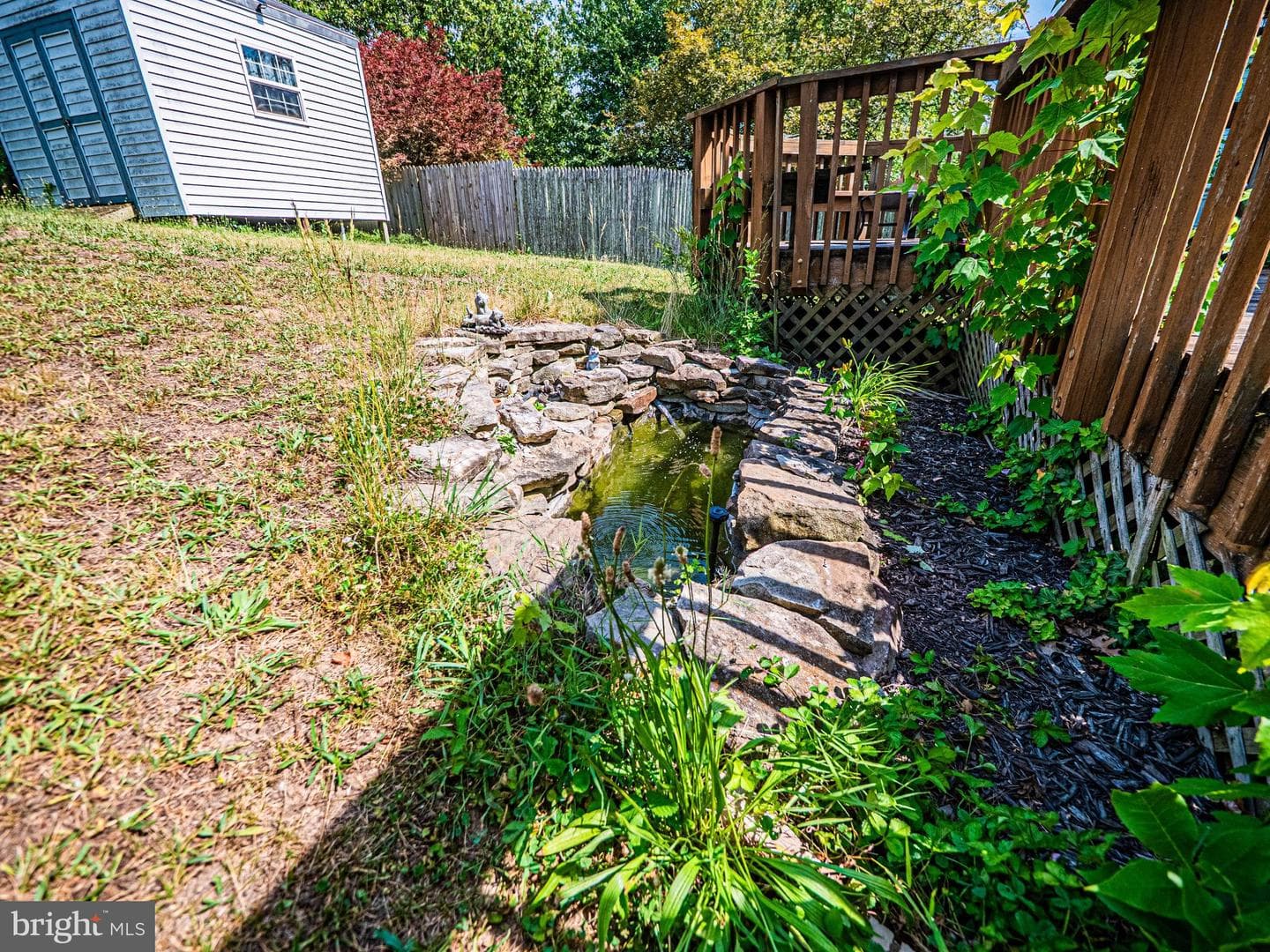 123 Etnam Street photo 33