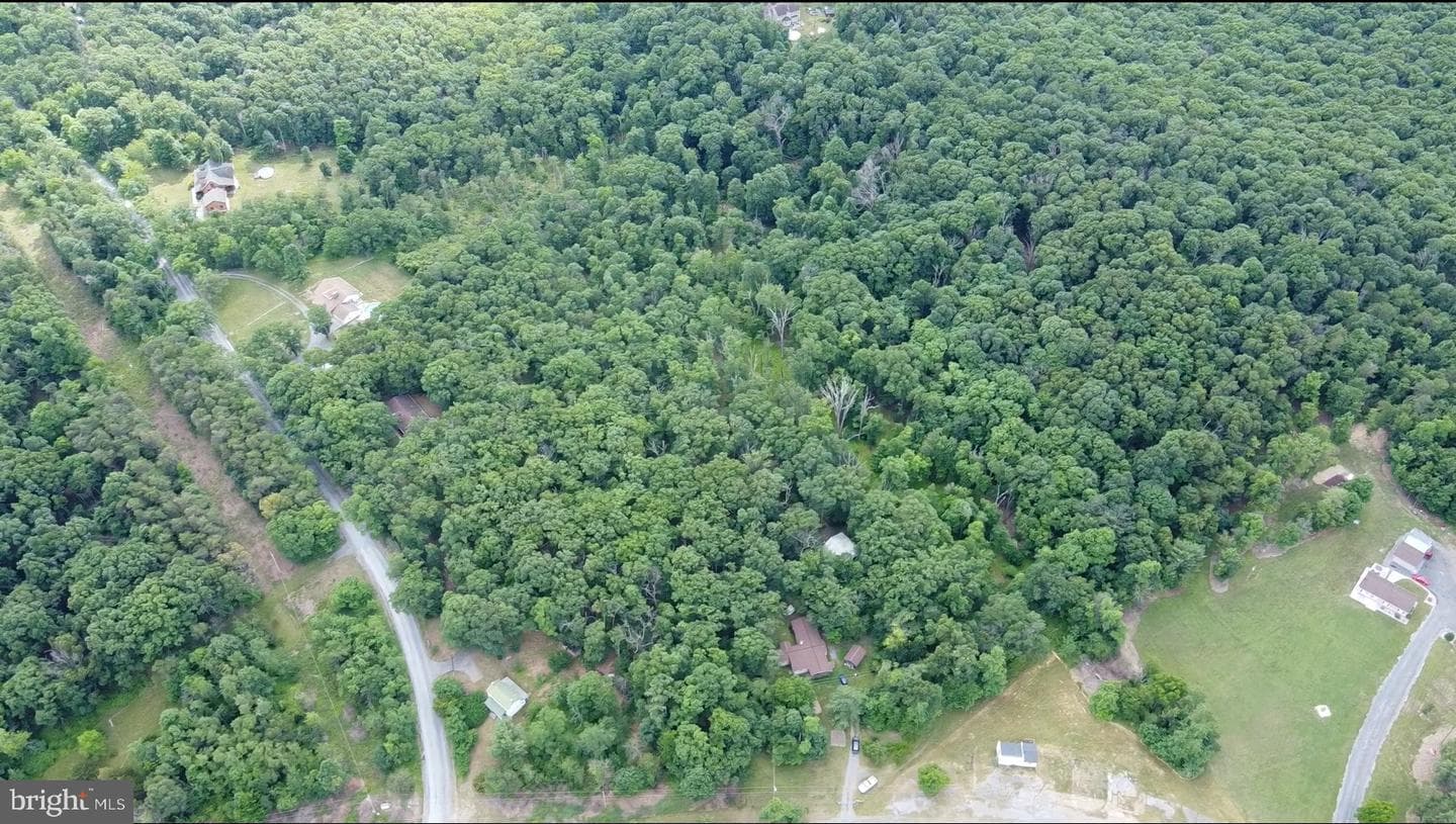 1917 S Timber Ridge photo 17