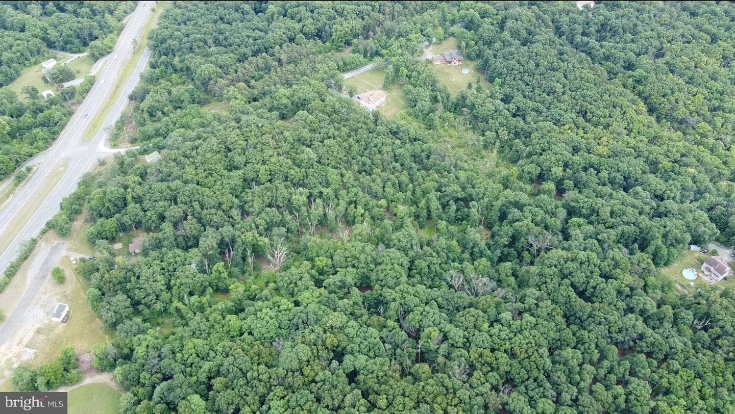 1917 S Timber Ridge photo 18