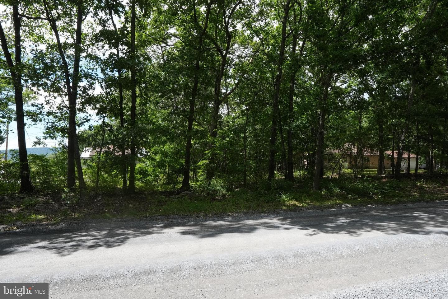 1917 S Timber Ridge photo 2