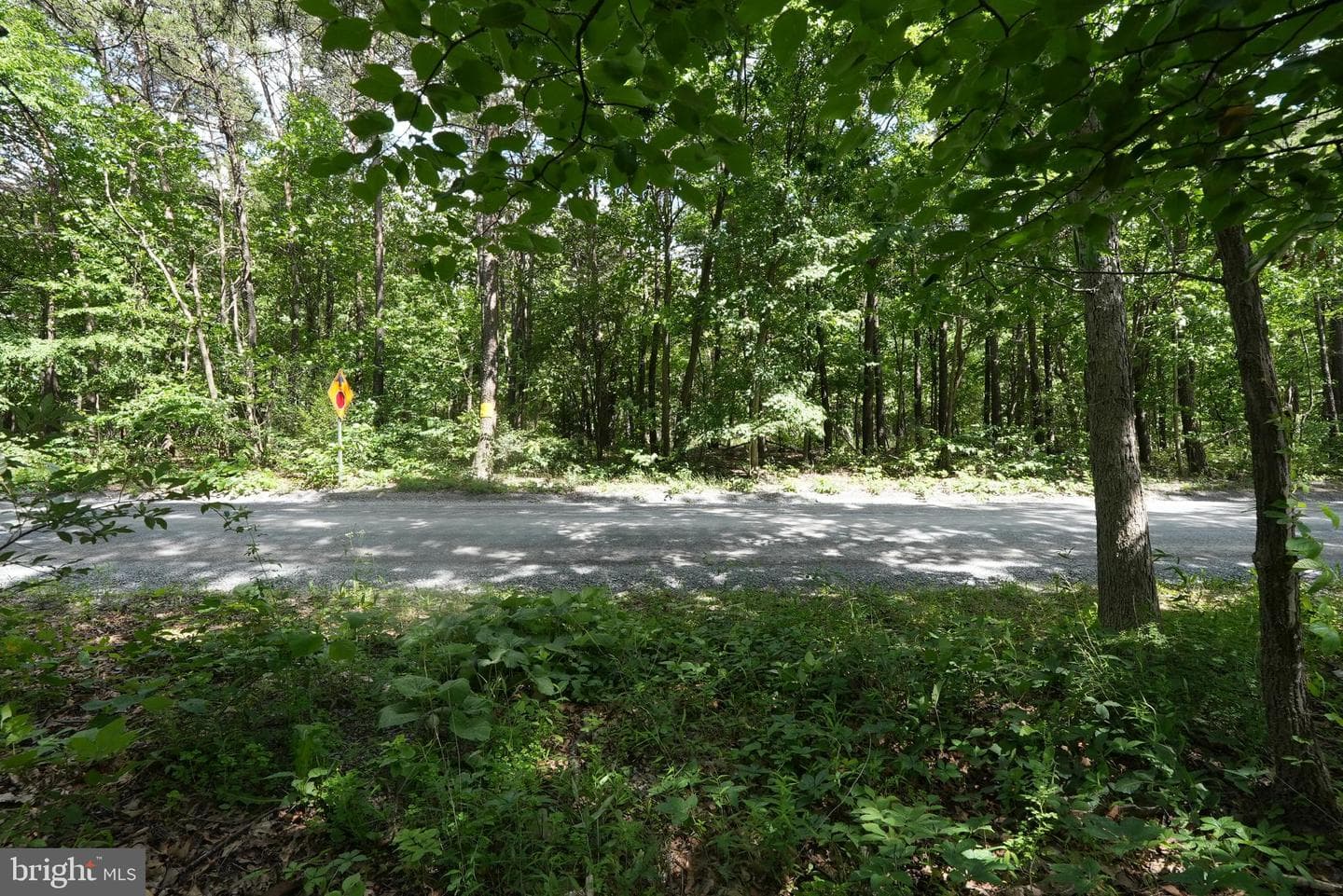 1917 S Timber Ridge photo 3