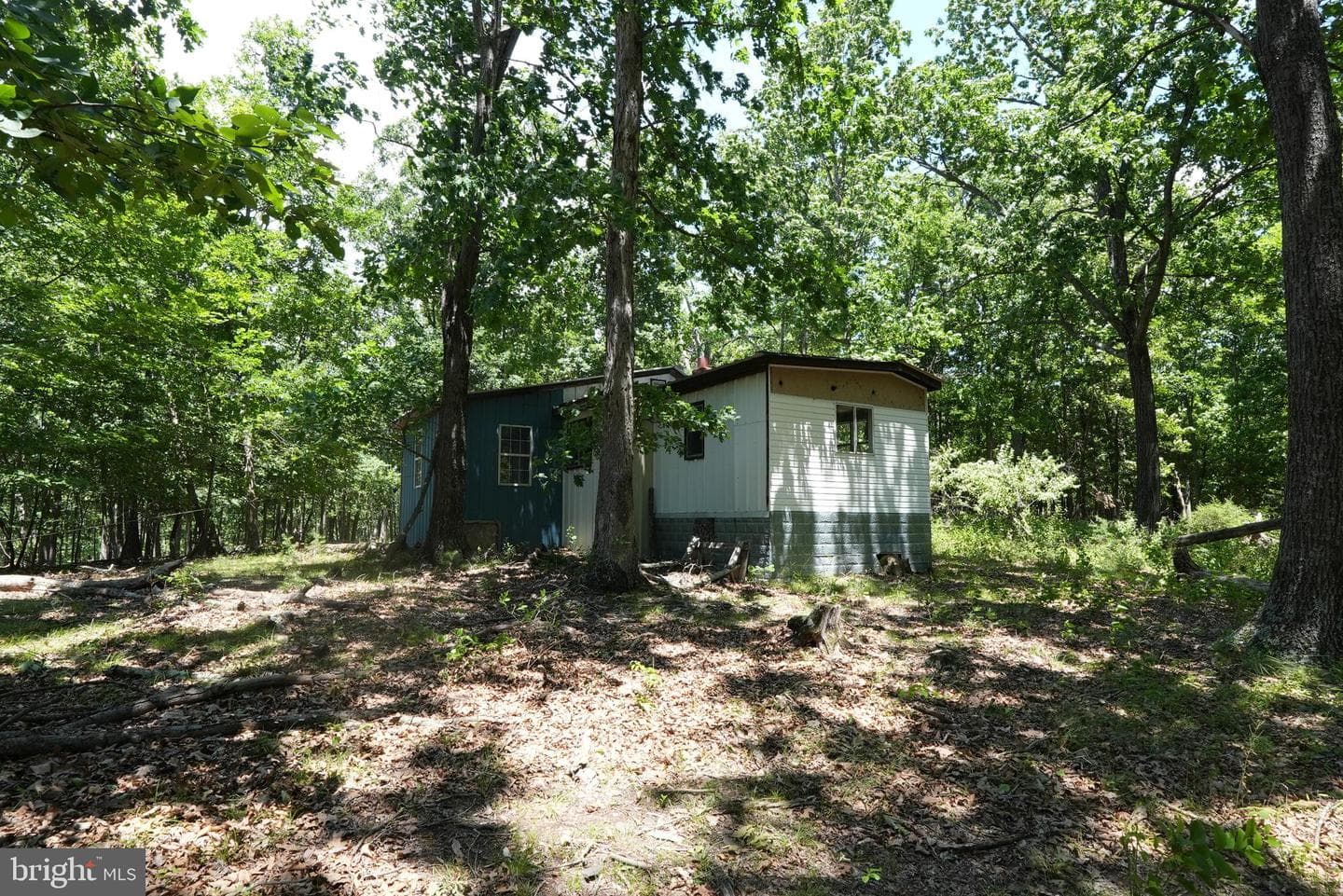 1917 S Timber Ridge photo 5