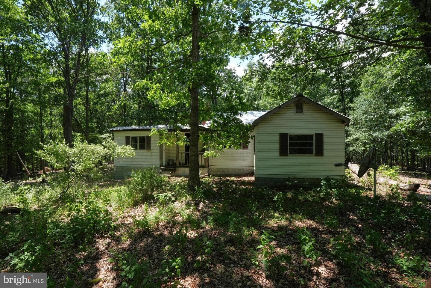 1917 S Timber Ridge photo 6