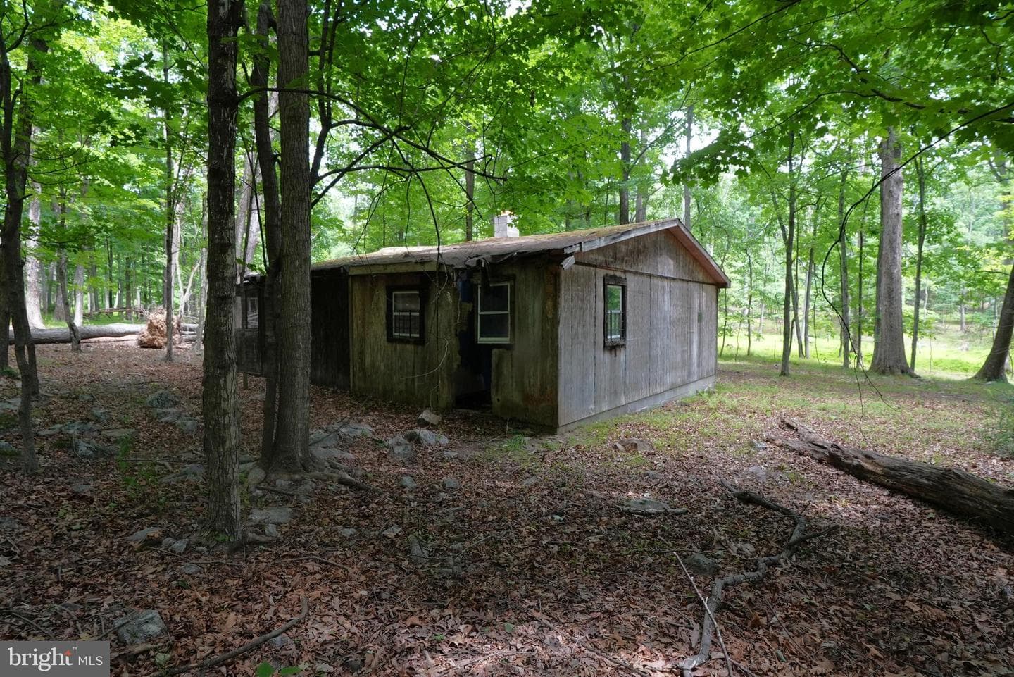 1917 S Timber Ridge photo 9