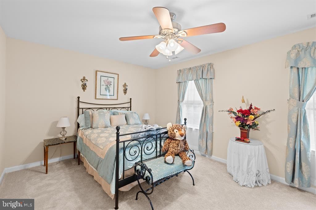 256 Skylar Lanes Way photo 37