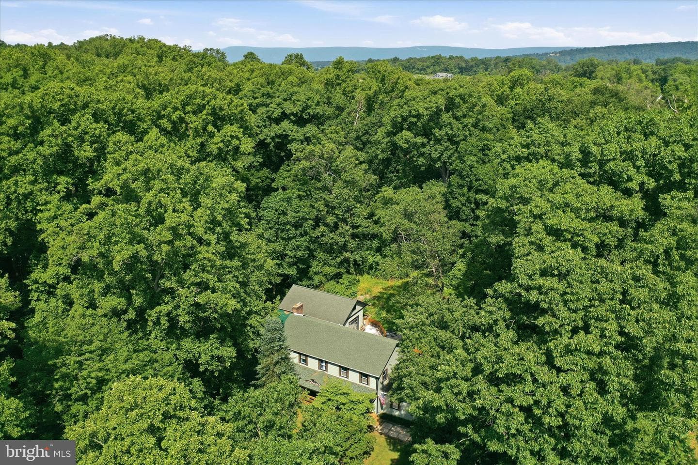137 Old Forest Circle photo 5