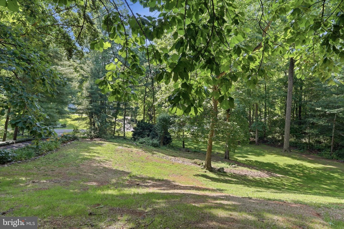 137 Old Forest Circle photo 71