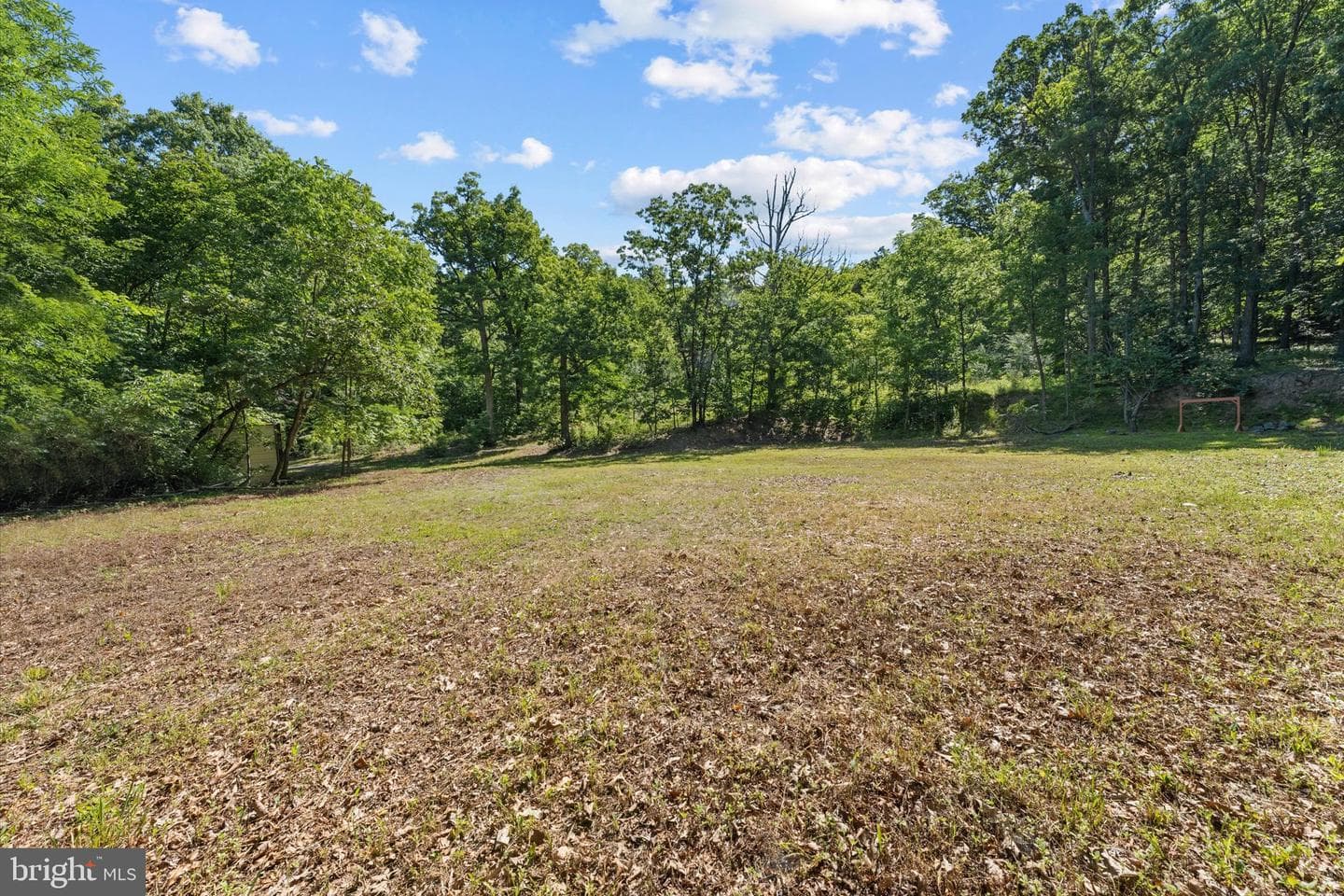 202 Cedar Grove Road photo 17