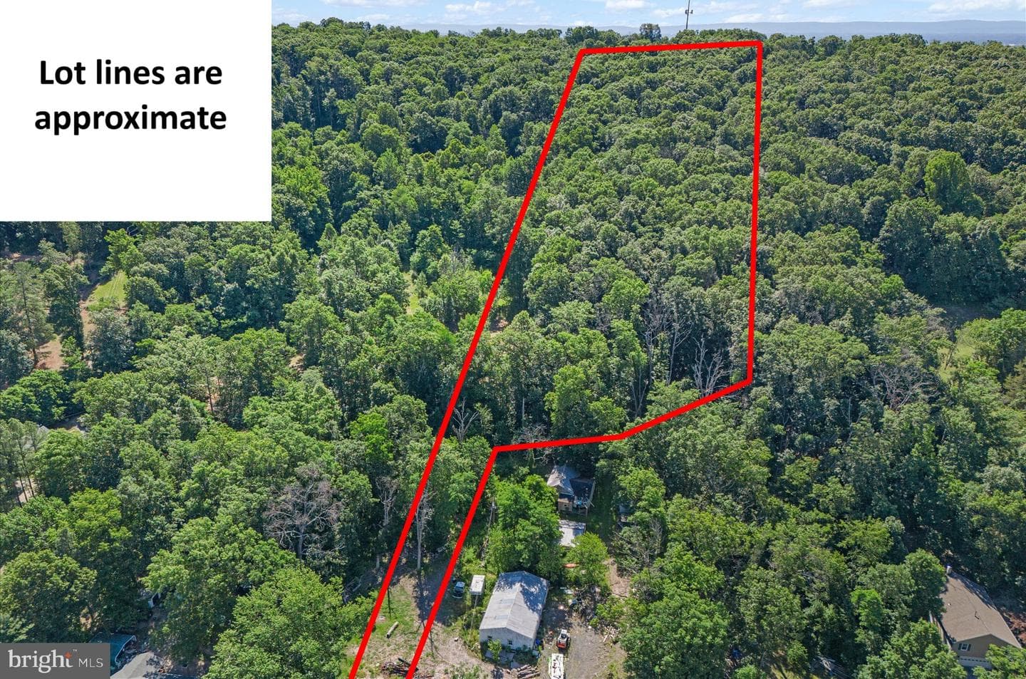 202 Cedar Grove Road photo 19