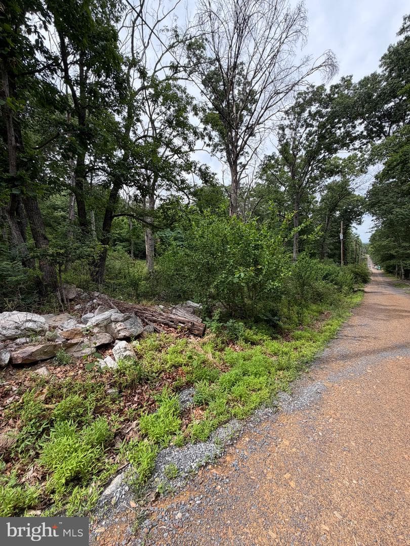 616 Opossum Trail photo 16