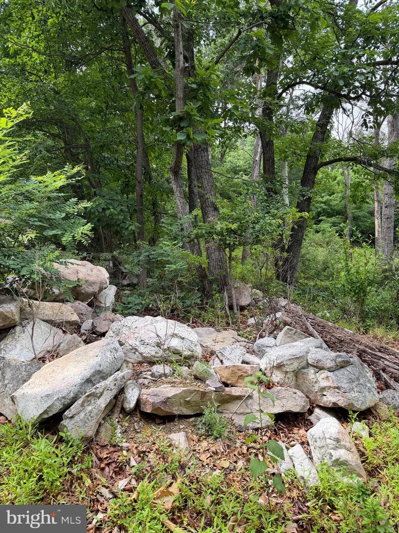 616 Opossum Trail photo 17