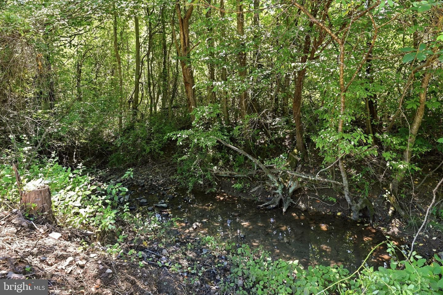1355 Perry photo 49