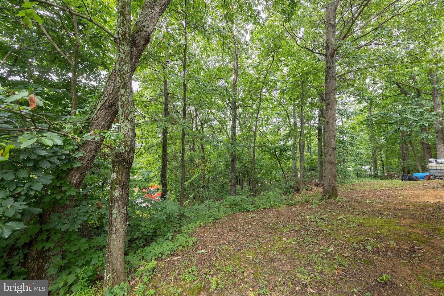 544 Bluebird Trail photo 32