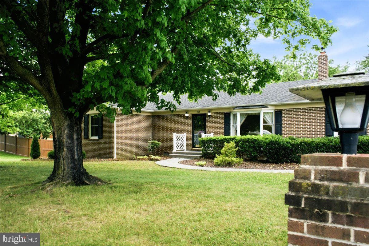 303 Yale Drive photo 3