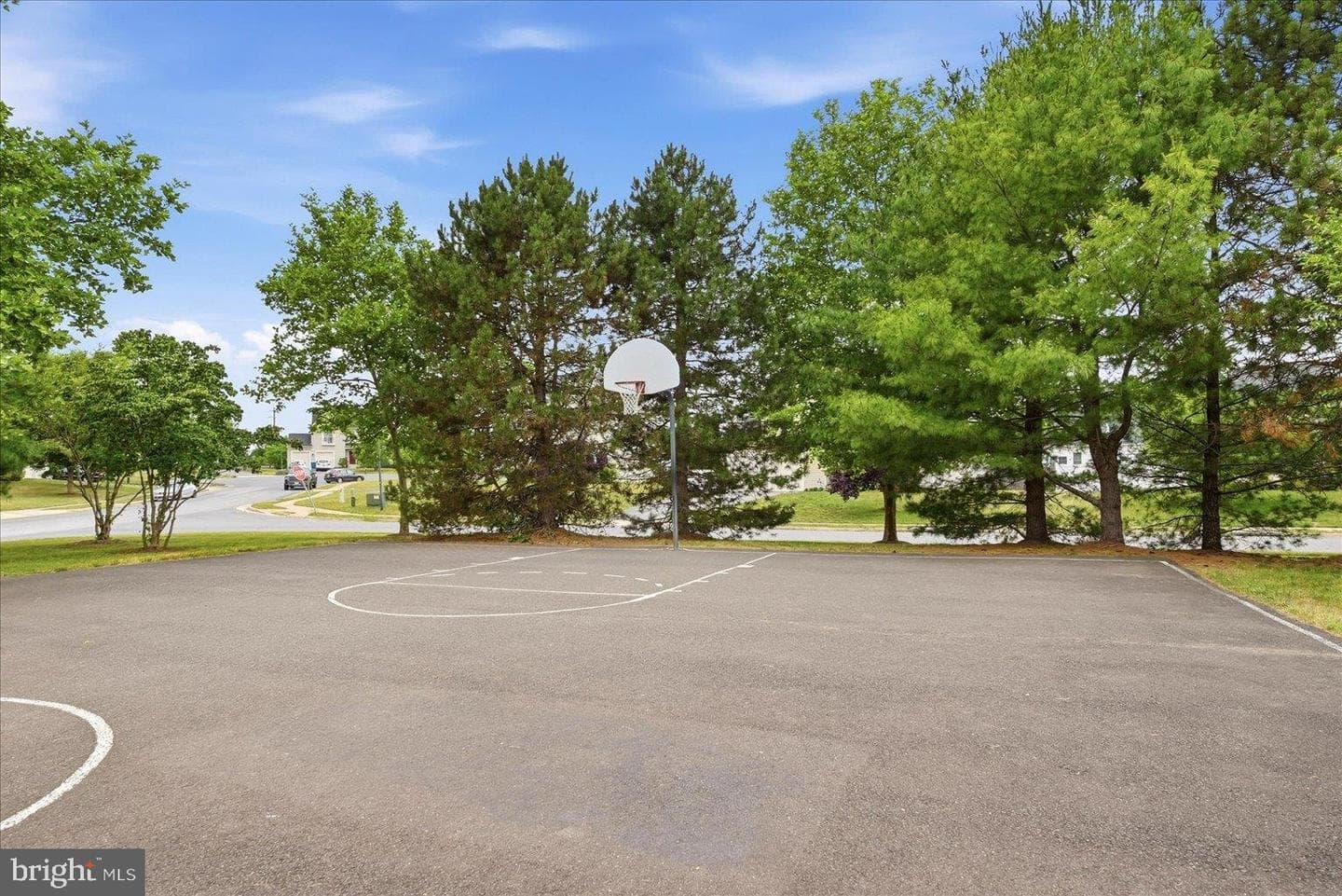 326 Cheltenham Drive photo 77