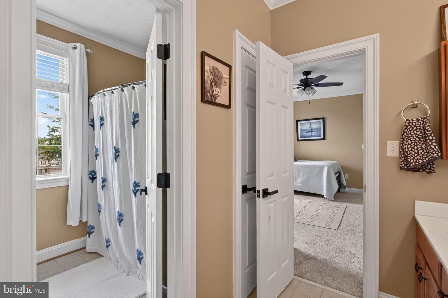356 Chimney Circle photo 53