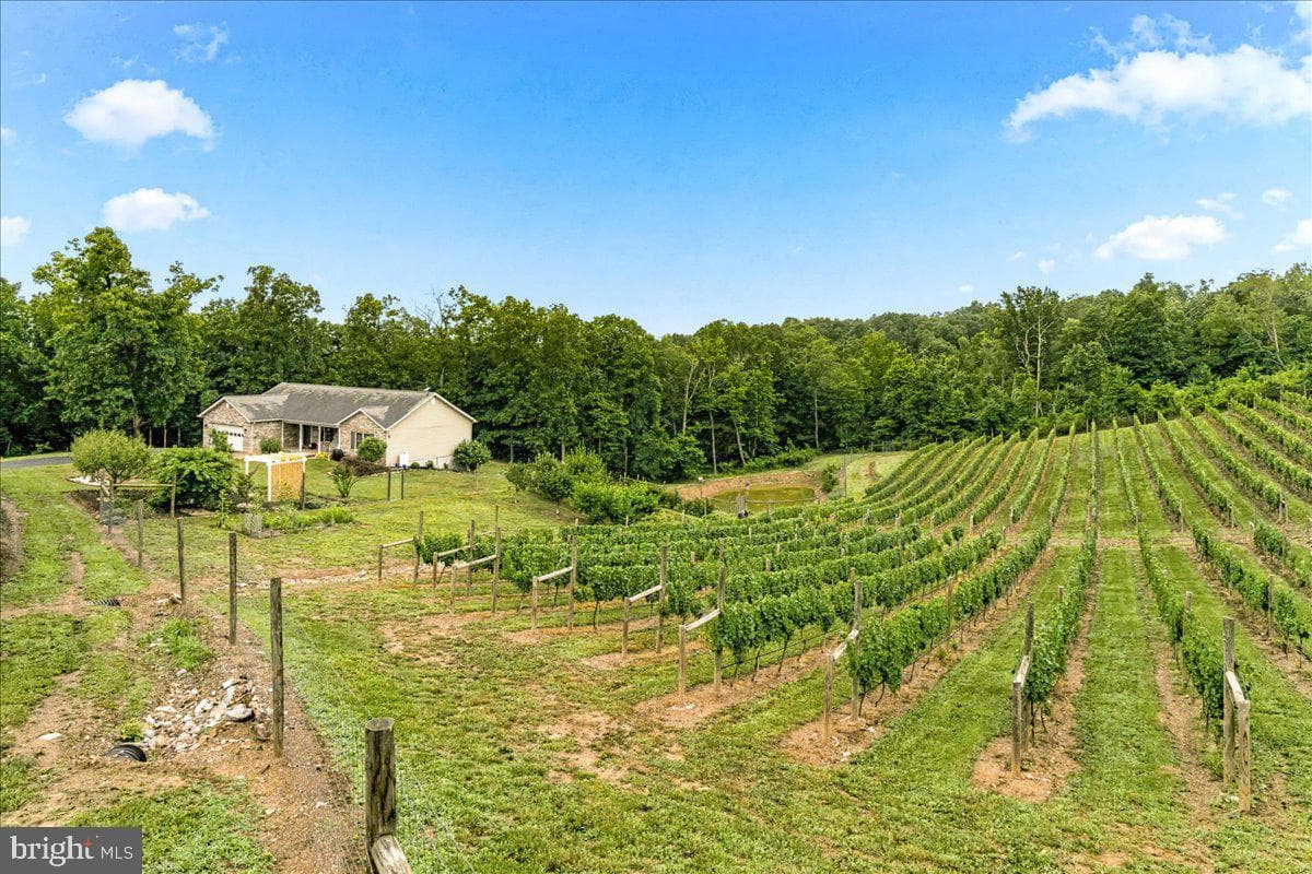 1309 Redland Road photo 75