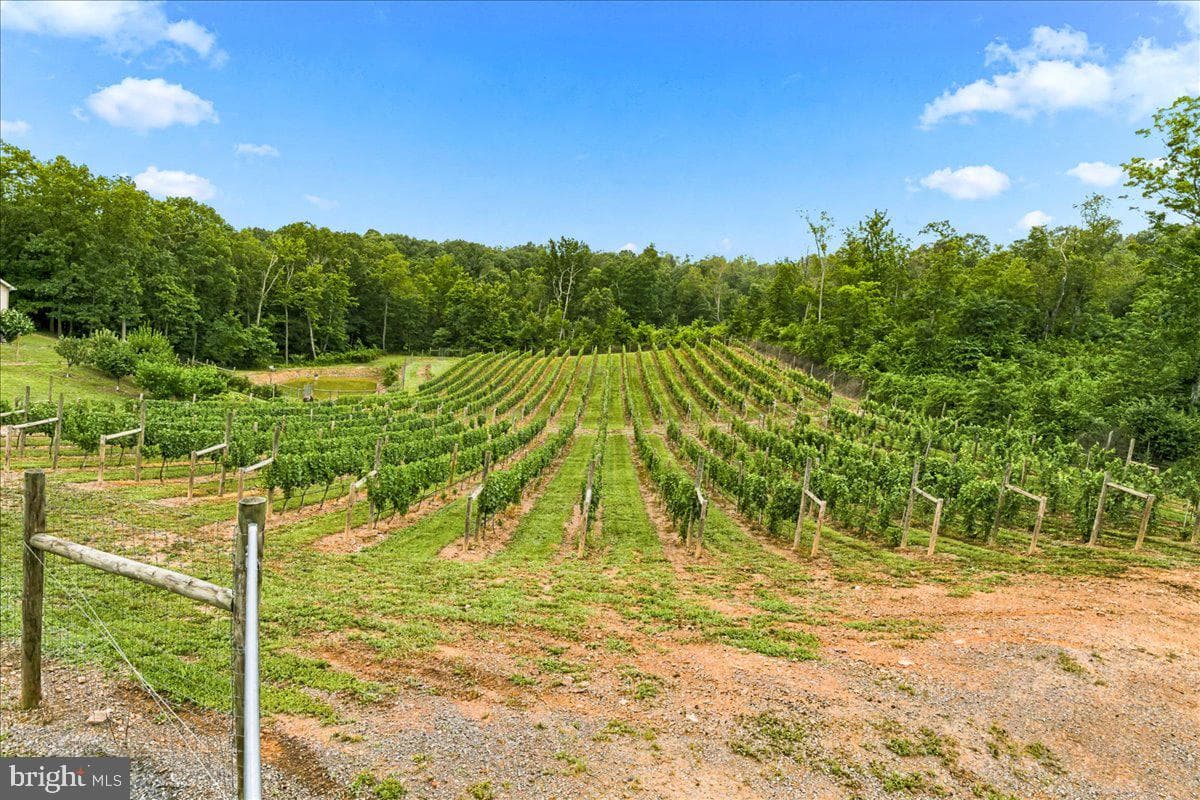 1309 Redland Road photo 83