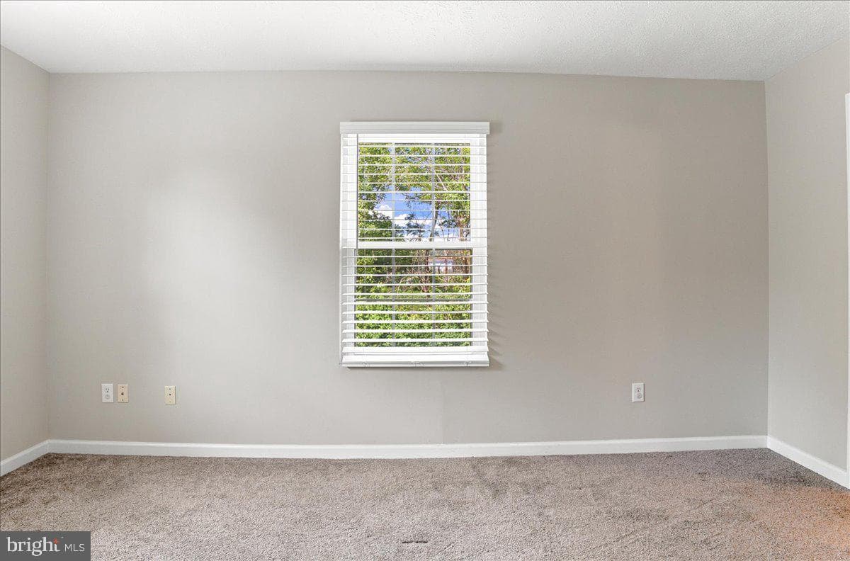 127 Brookland Terrace #8 photo 31