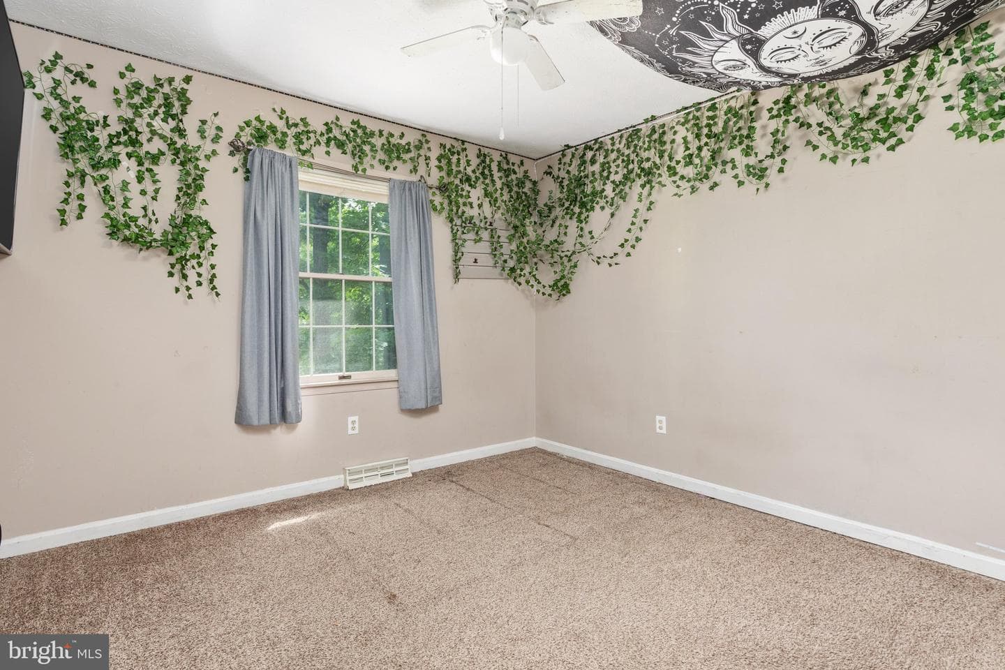 113 Lakewood Drive photo 16