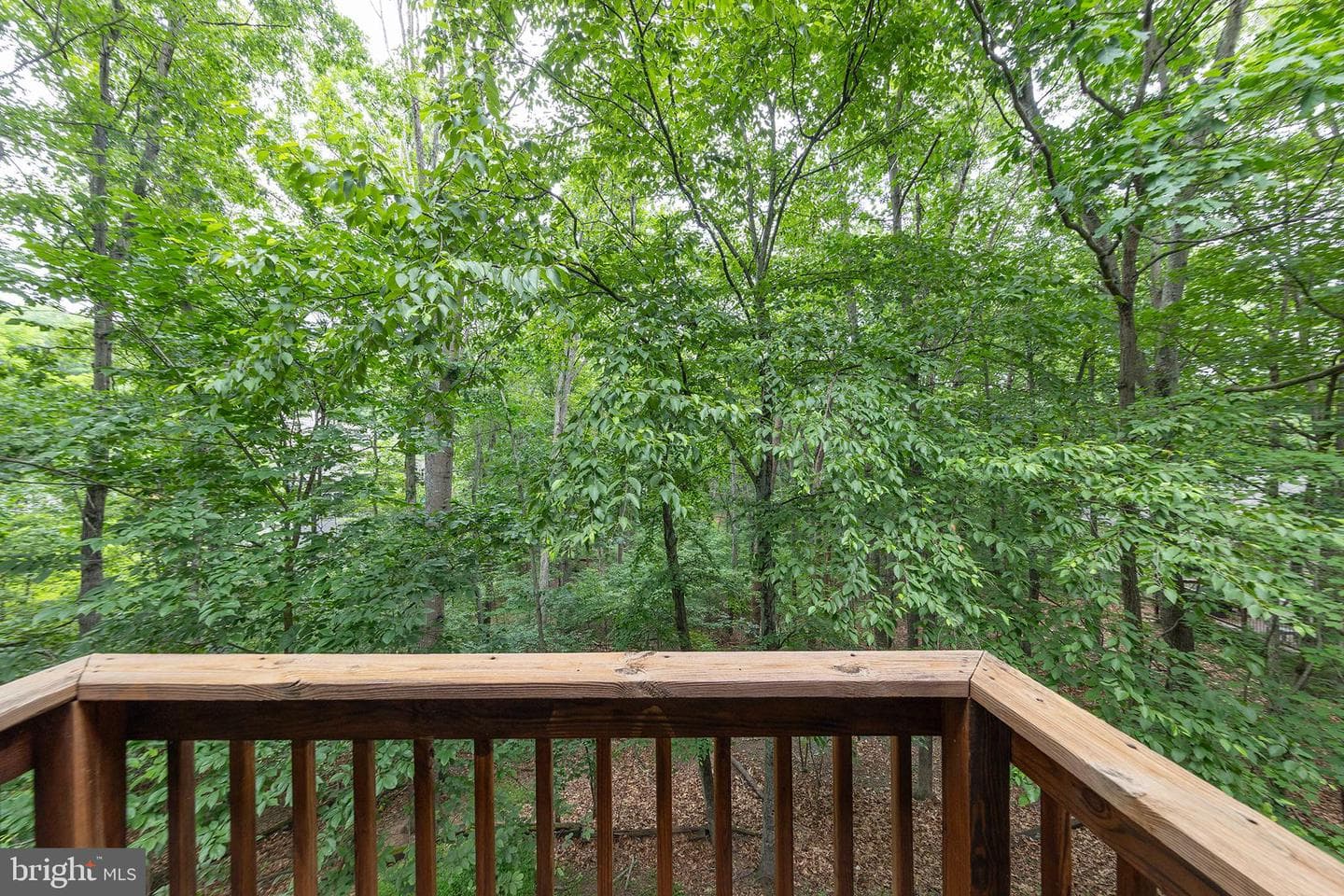 1317 Lakeview Drive photo 49