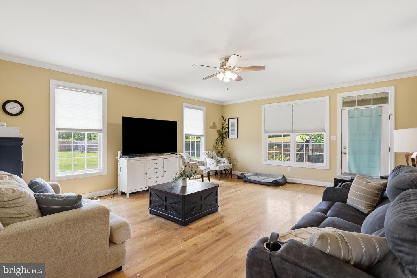 115 Marion Drive photo 4
