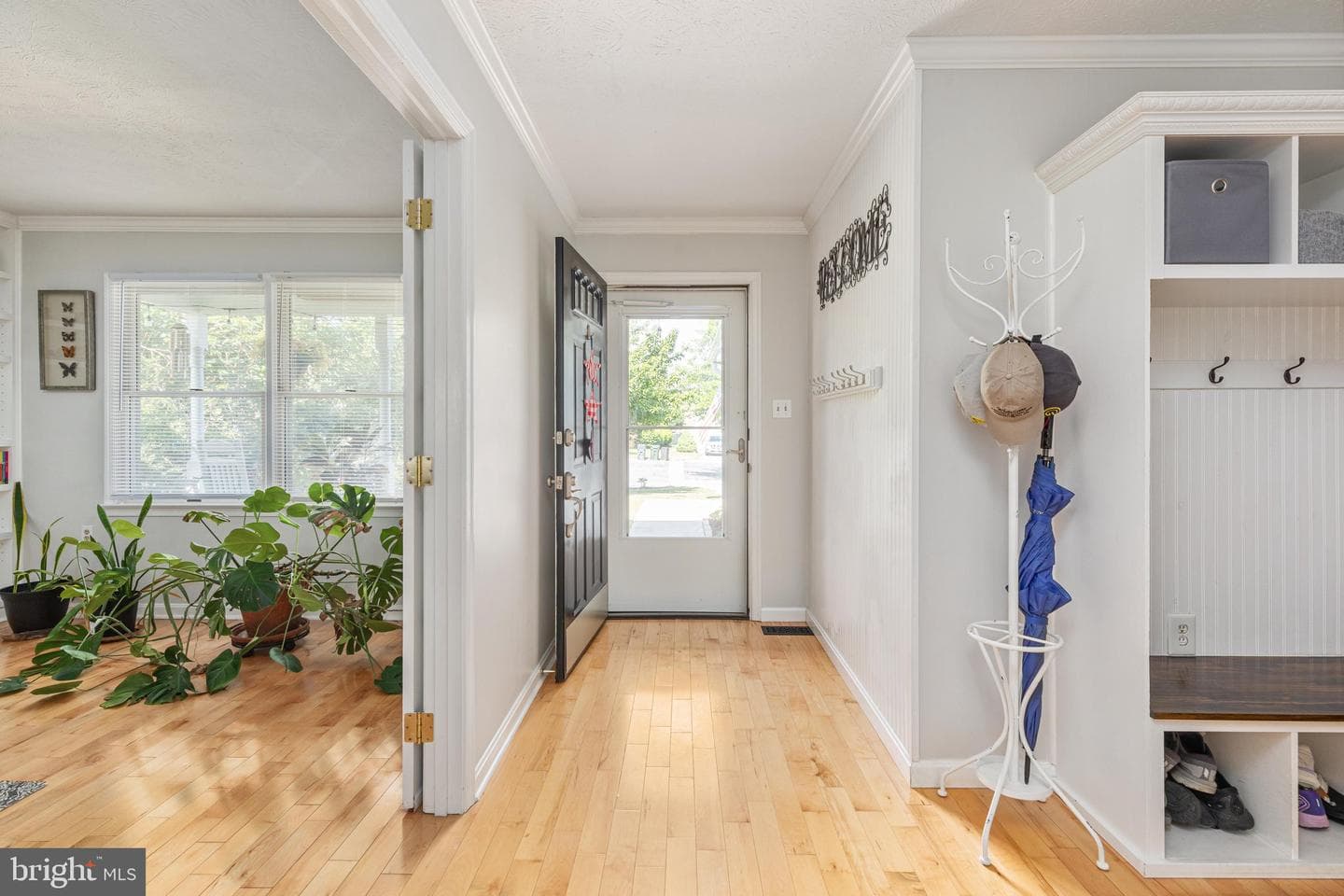 103 Oxford Court photo 5