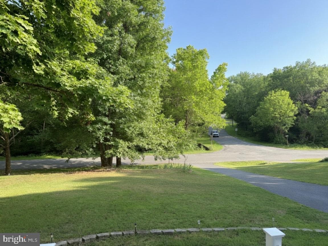 219 Lakeside Drive photo 4