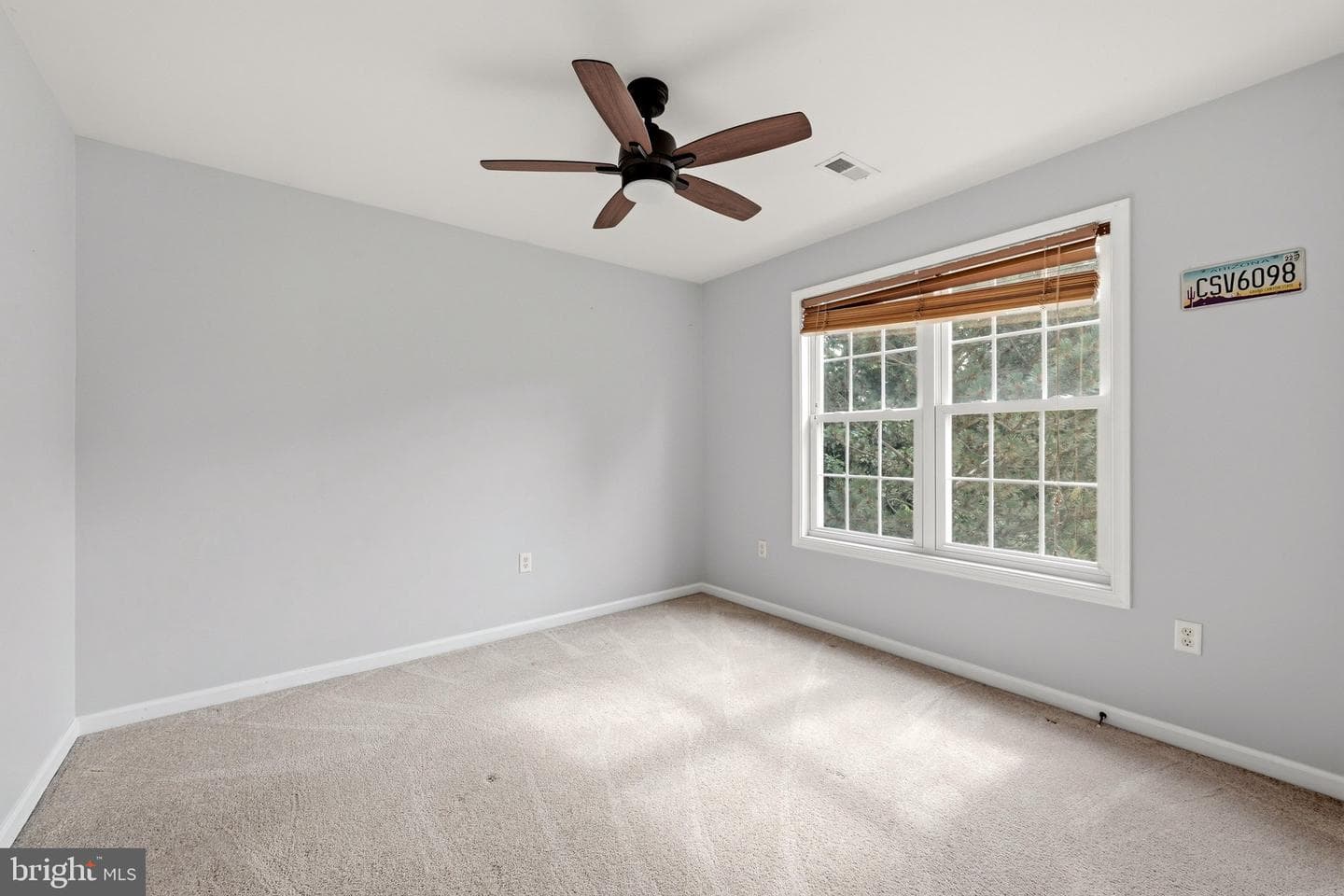 151 Travis Court photo 23