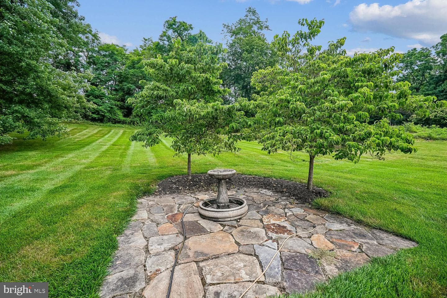 112 Beverly Dr photo 18