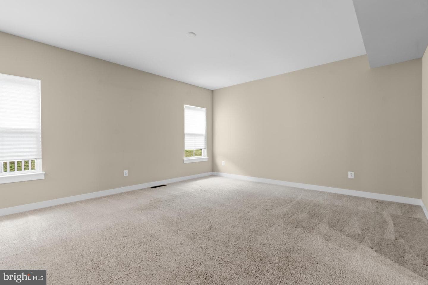 112 Fringetree Court photo 18
