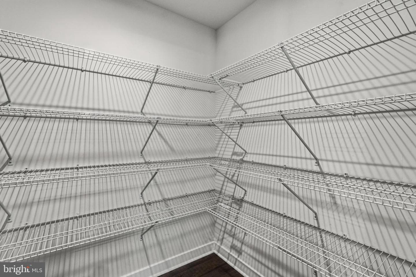 112 Fringetree Court photo 36