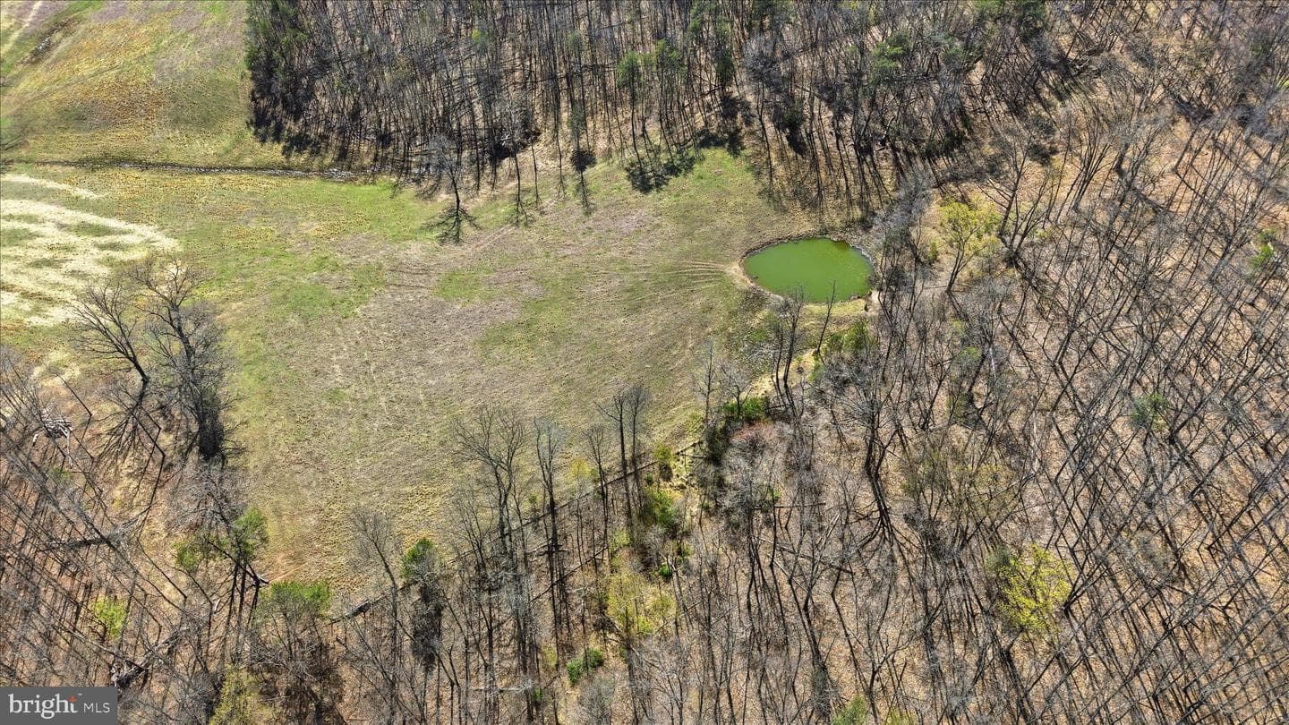 Light Road photo 35