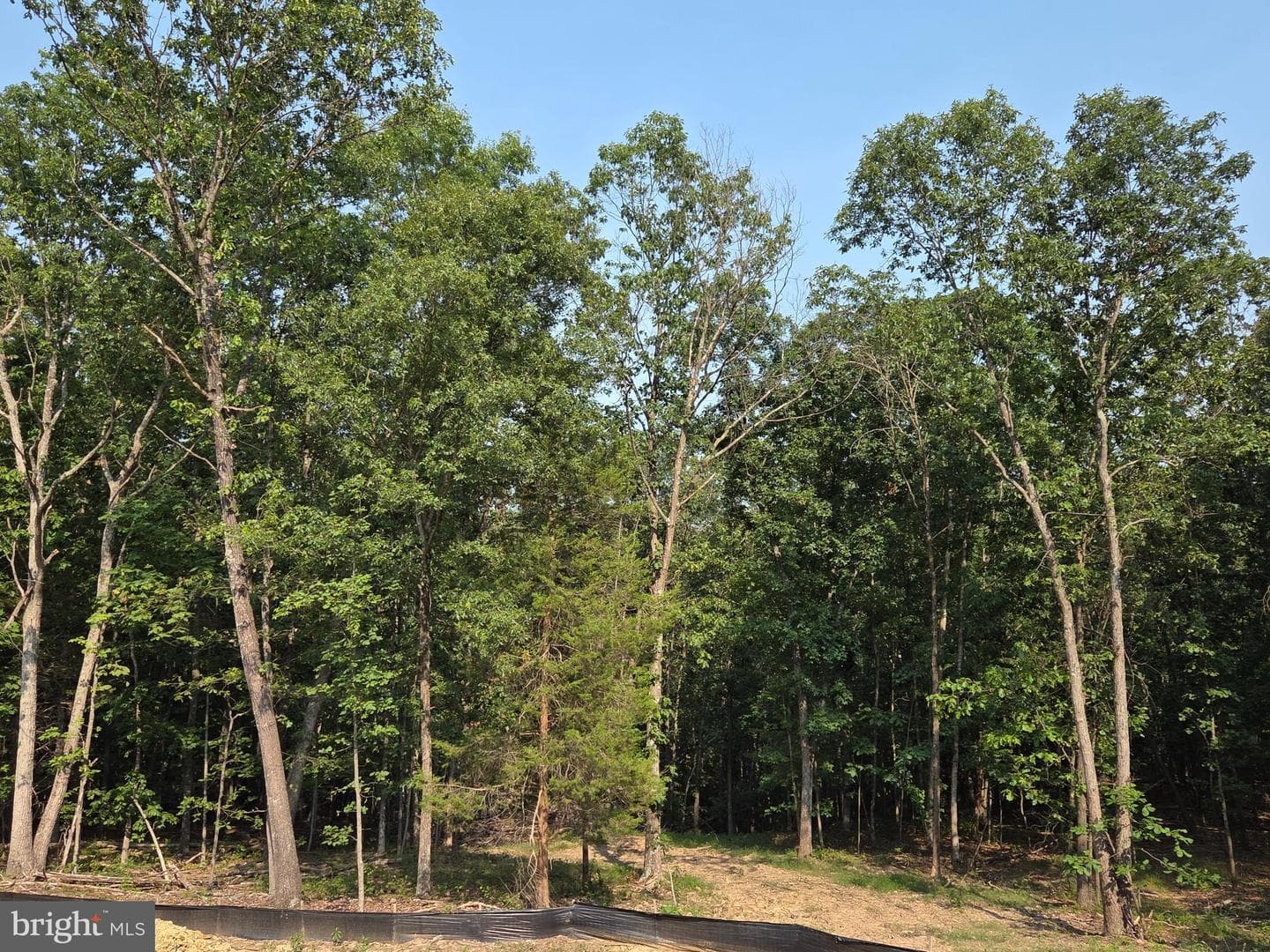 150 Four Seasons Drive E photo 15