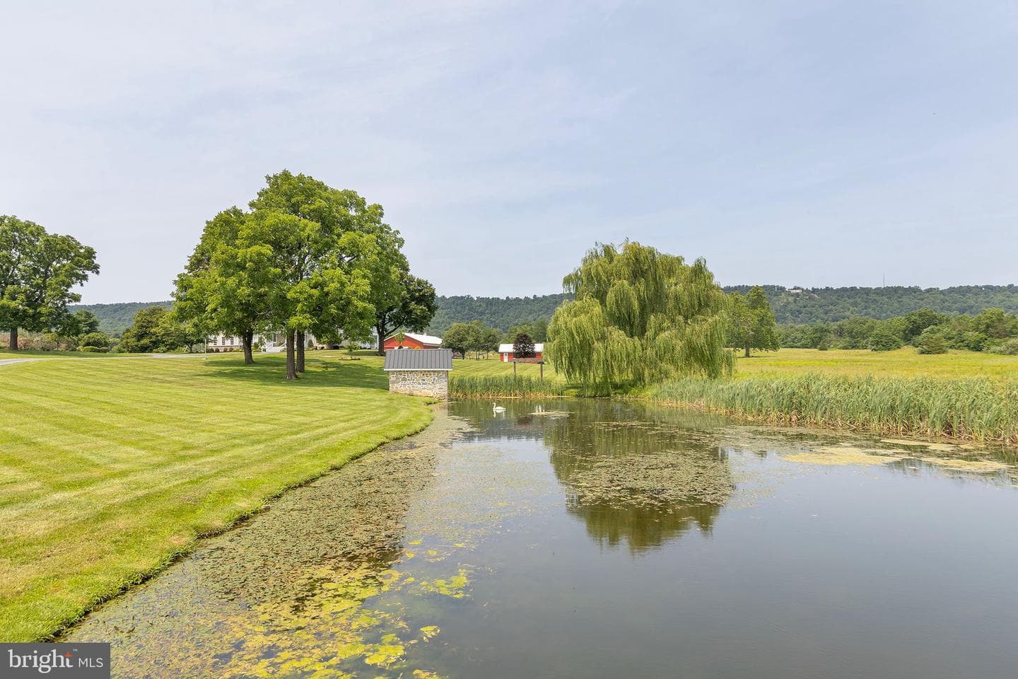 582 Miller Road photo 76