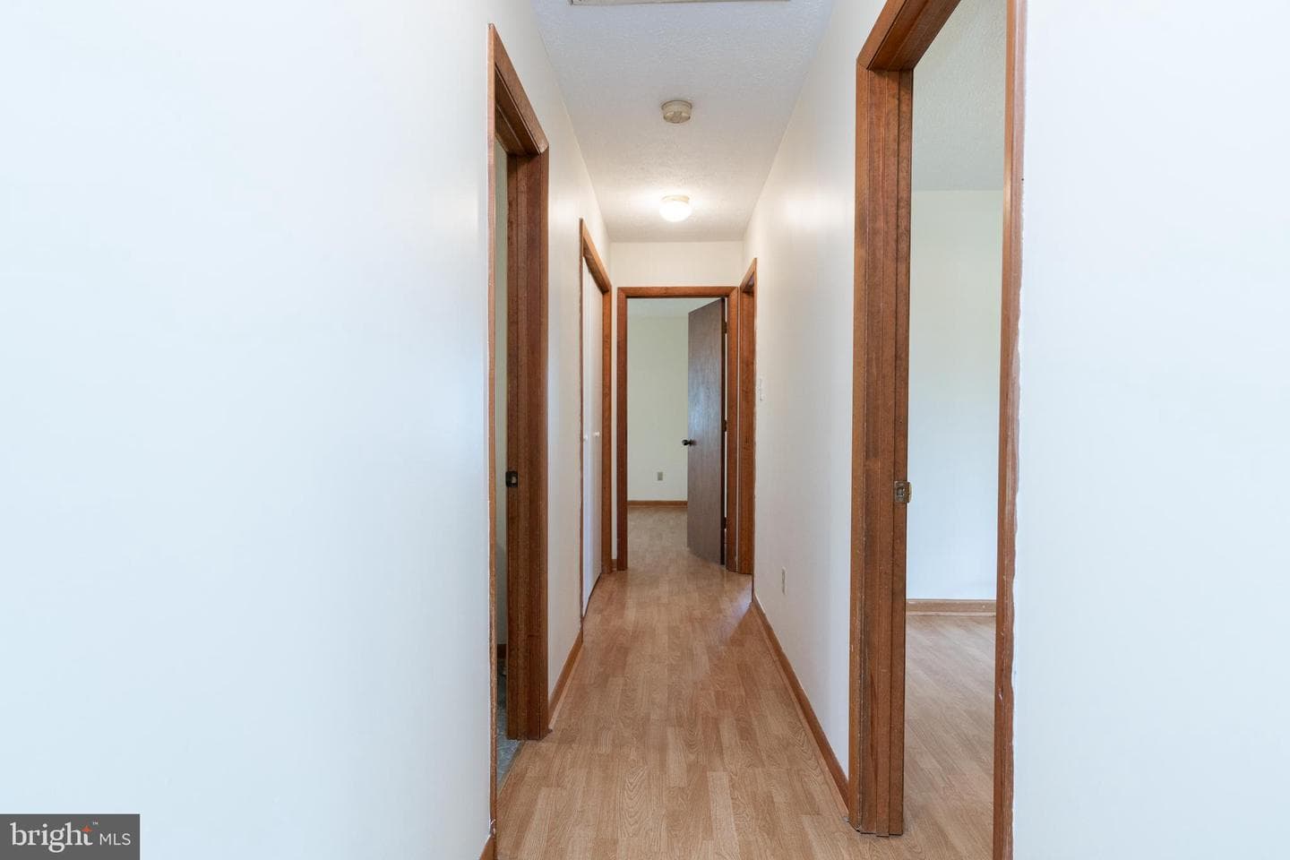 305 Hackberry Drive photo 6
