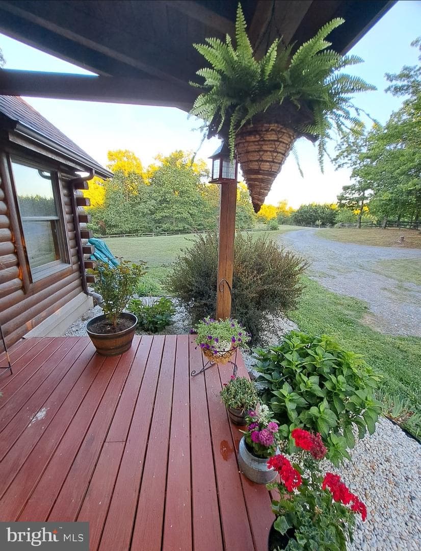 1415 S Timber Ridge Road photo 4