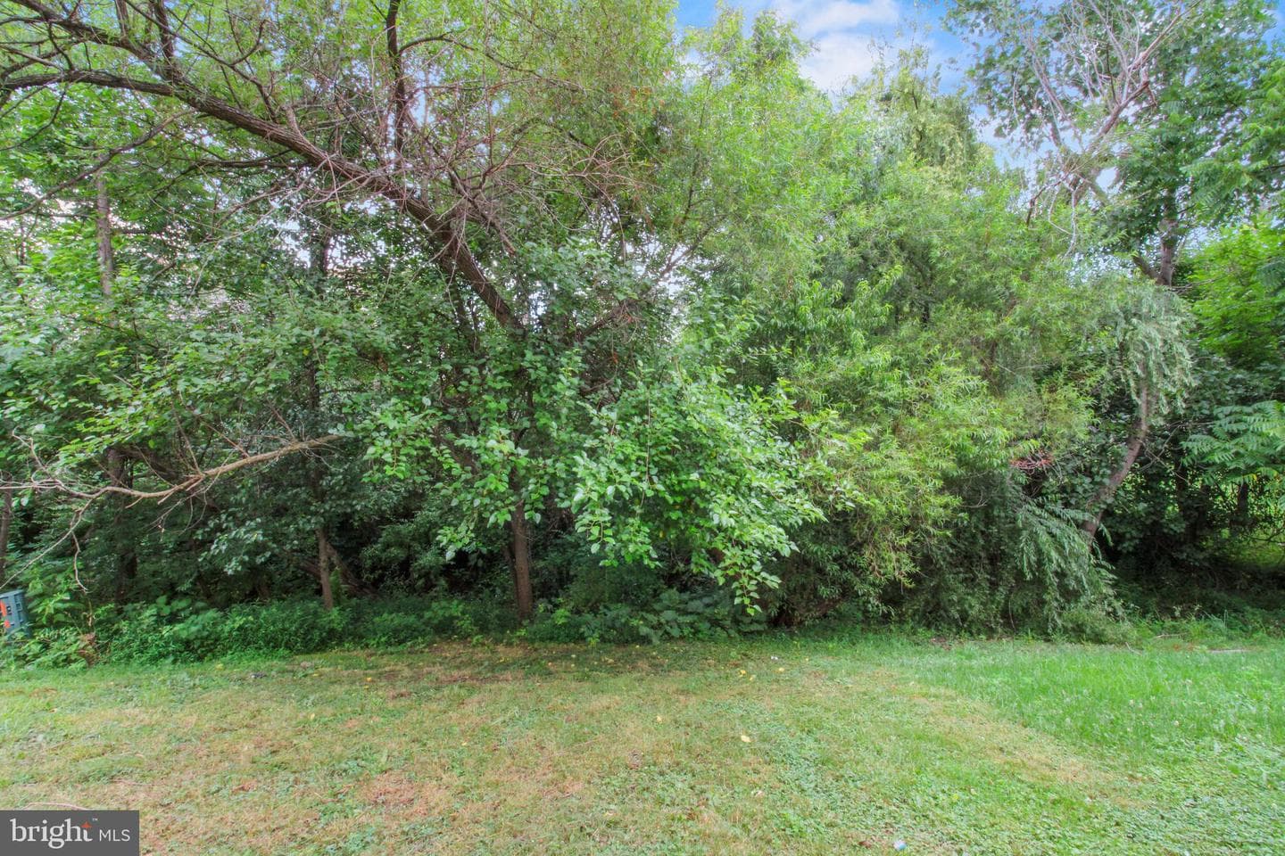 424 Ridgefield Avenue photo 15