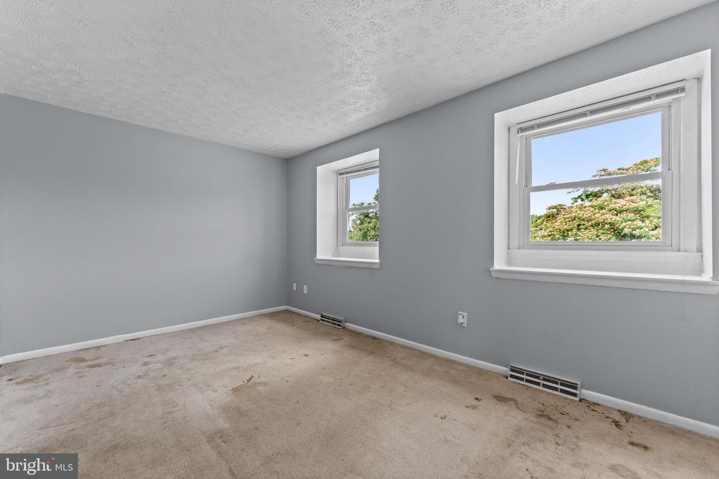 5260 Mulberry Court photo 18