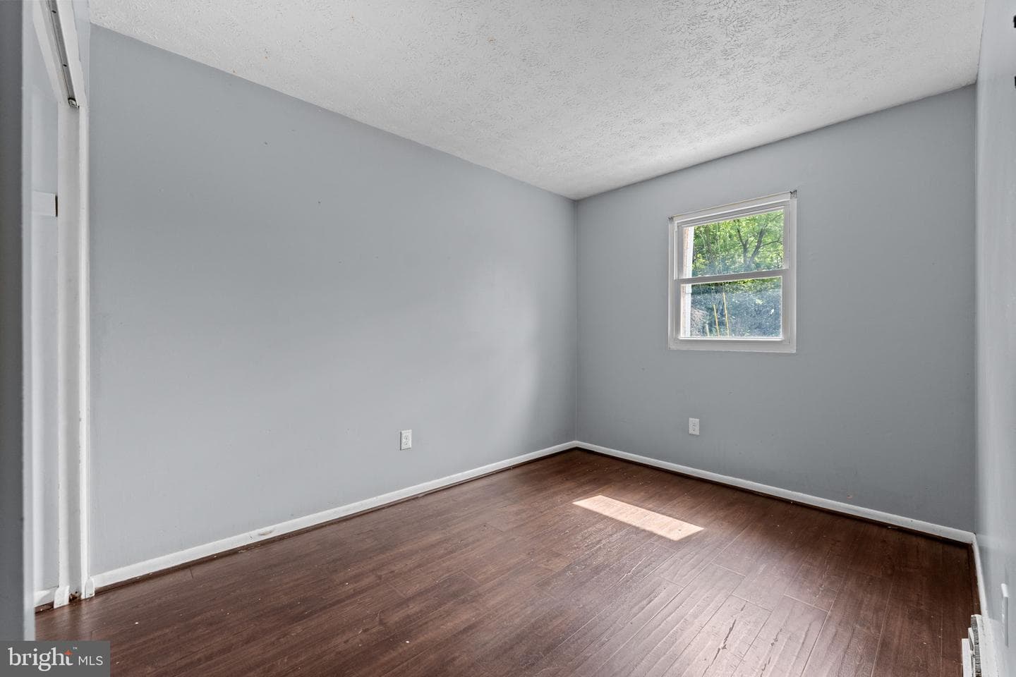 5260 Mulberry Court photo 19
