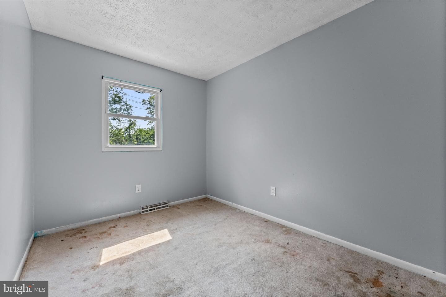5260 Mulberry Court photo 22