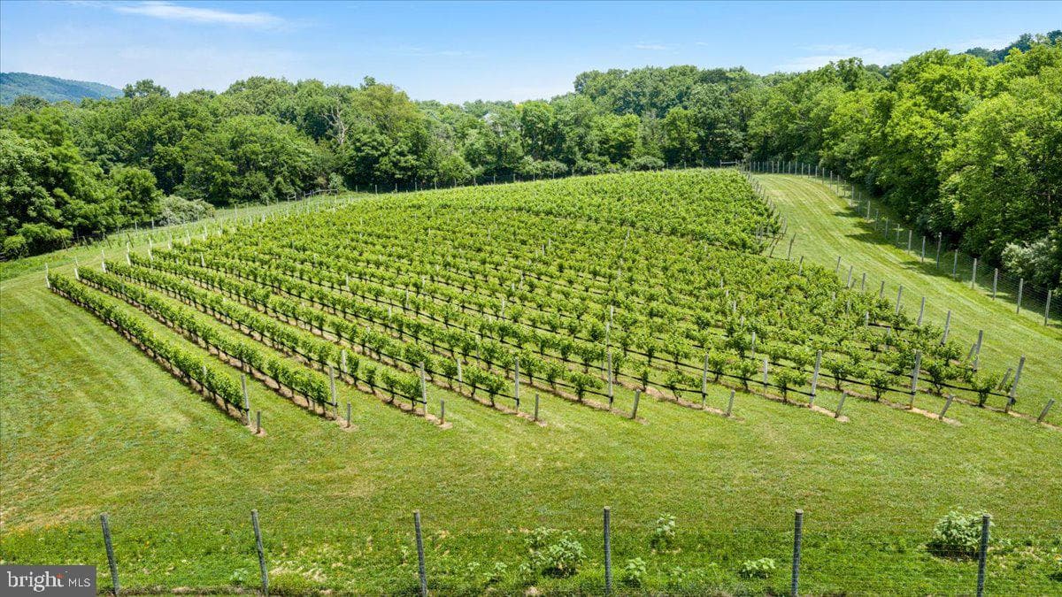 450 Green Spring Road photo 58