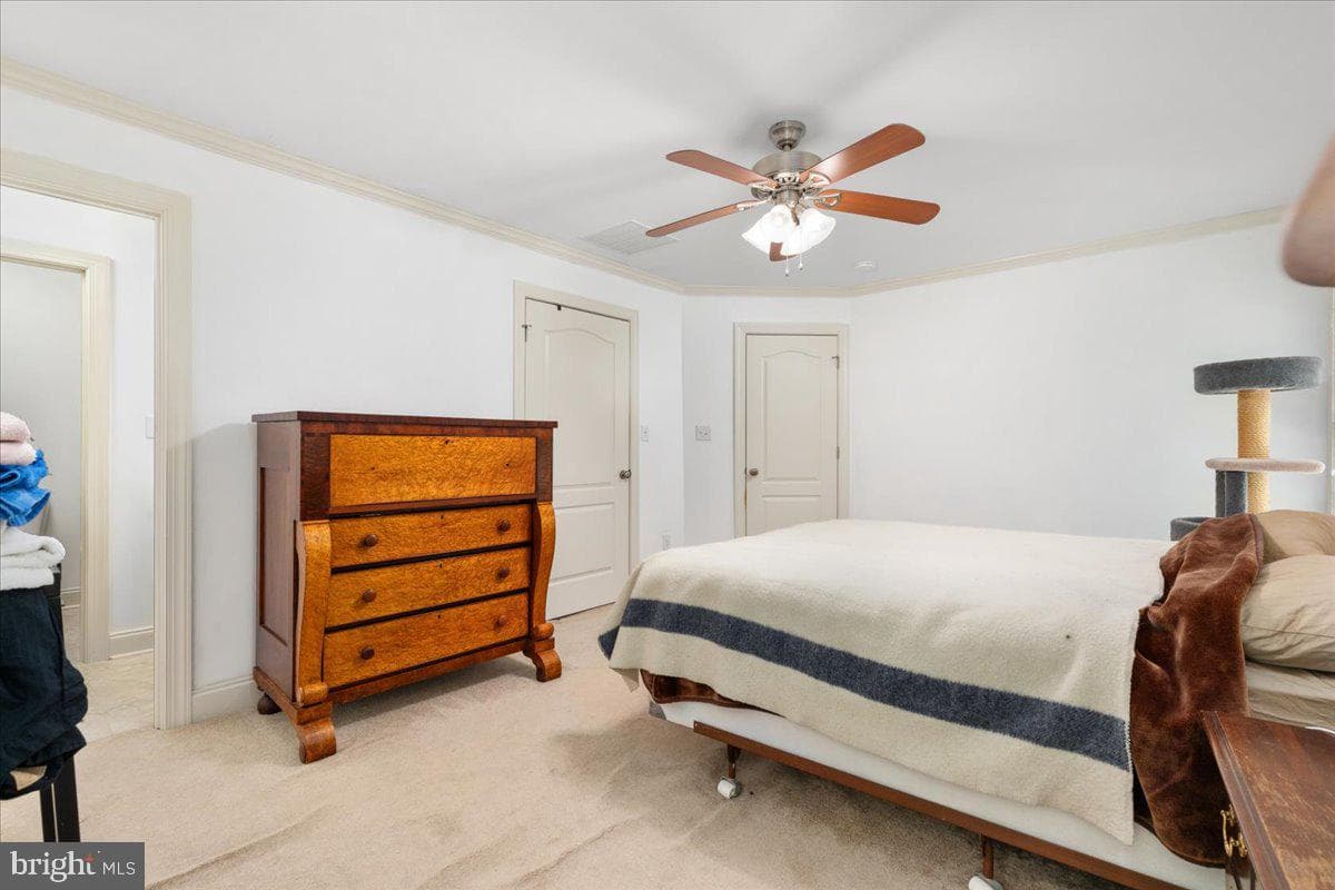 120 Hawk Trail photo 19