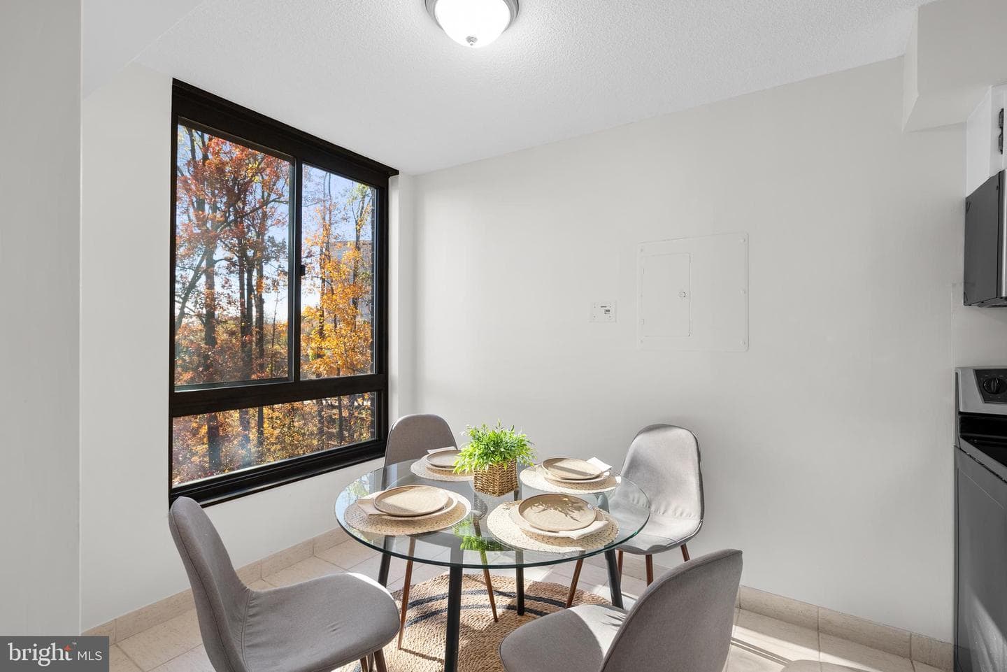 1808 Old Meadow Road #906 photo 12