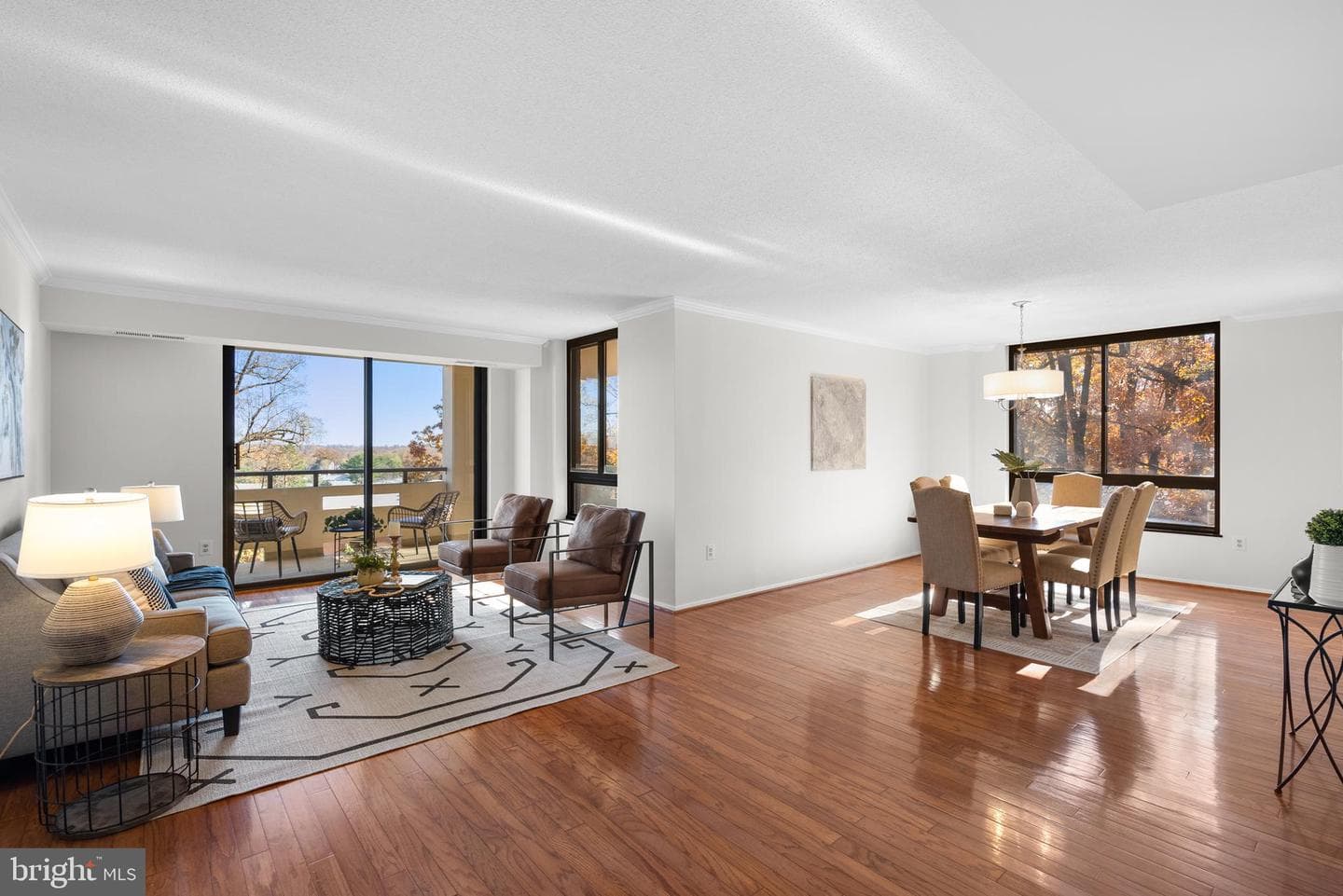 1808 Old Meadow Road #906 photo 2