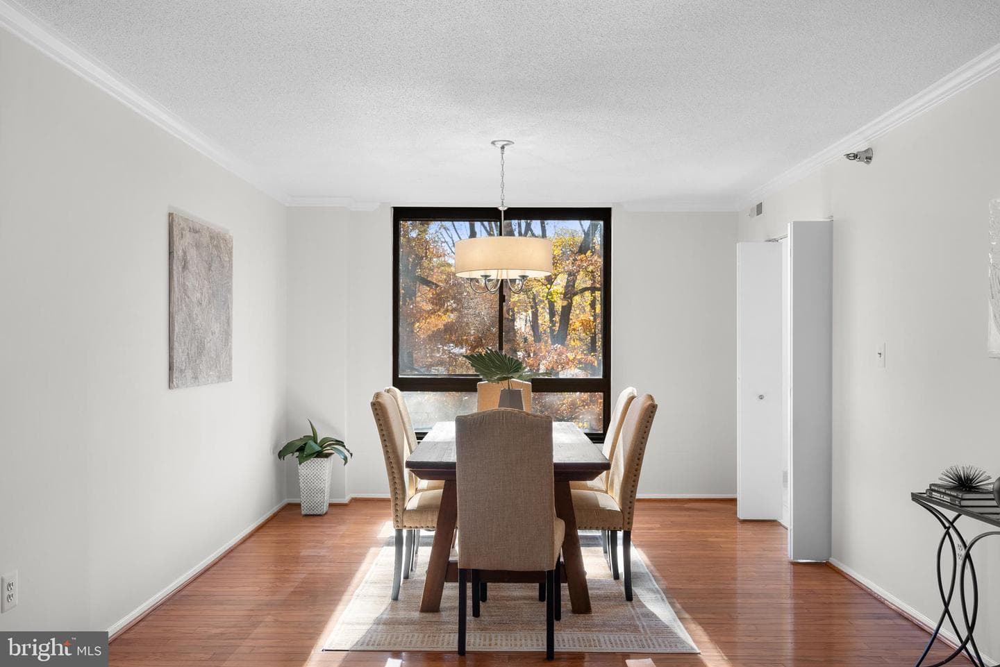 1808 Old Meadow Road #906 photo 5