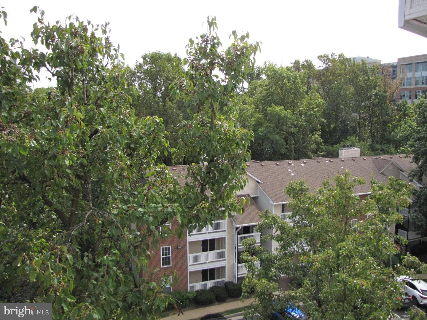 1504 Lincoln Way #401 photo 13